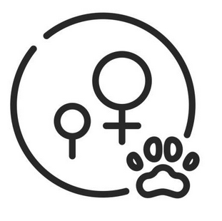 spay-neuter