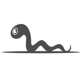 worm